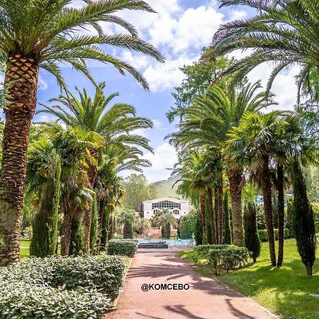 Appartement T2 A Cambo-Les-Bains Avec Piscine, Terrasse Et Parking Prive, Proche Des Thermes - Fr-1-495-82 Екстериор снимка